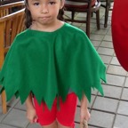 2010_WPChrstms 004.jpeg